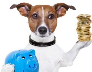 ¿Cómo ahorrar dinero con los gastos de tu mascota?